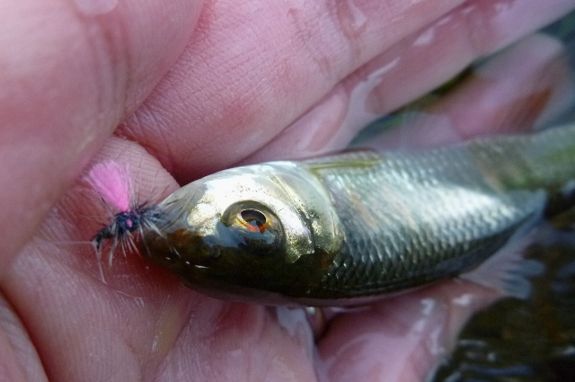 20121209_02.jpg