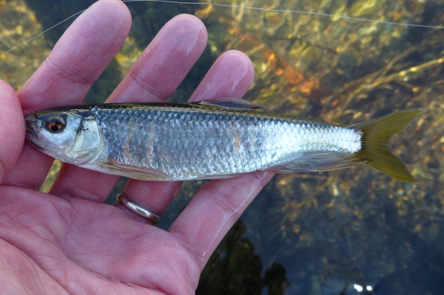 20121209_07.jpg