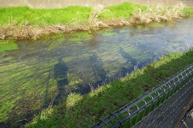 20121209_12.jpg