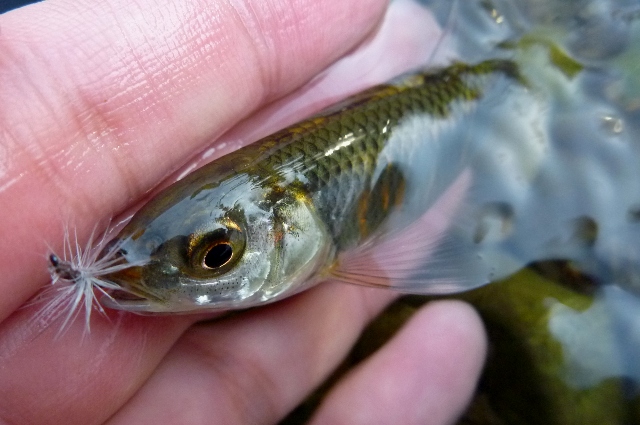 20121216_3.jpg