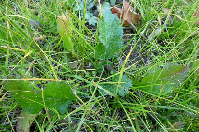 20121216_4.jpg