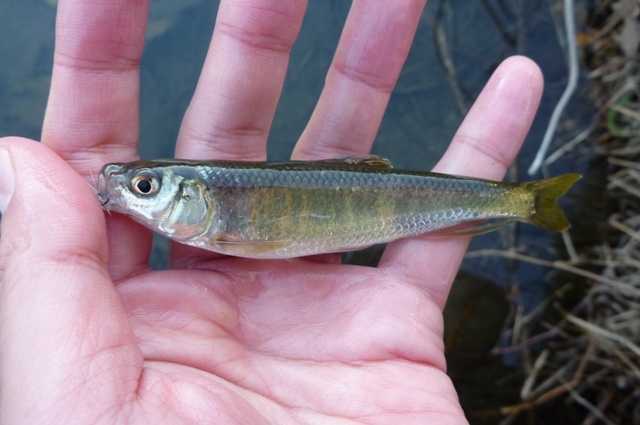20121216_6.jpg