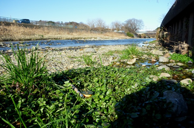 20121224_04.jpg
