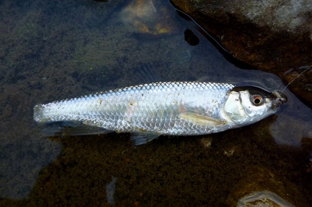 20121224_06.jpg