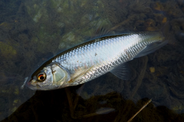 20121224_07.jpg