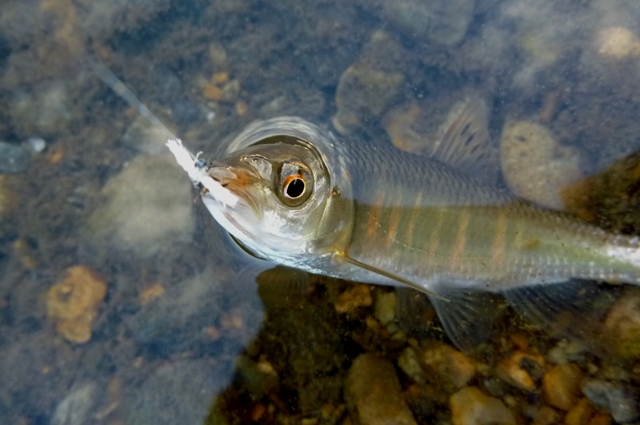 20121224_08.jpg