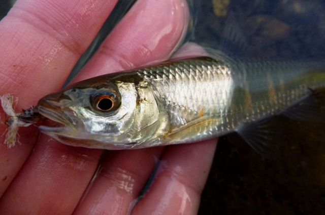 20121224_10.jpg
