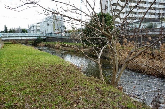 20121231_03.jpg