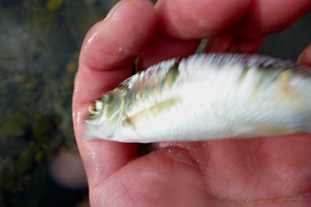 20121231_04.jpg