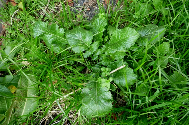 20121231_06.jpg