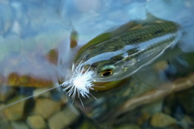 20121231_07.jpg