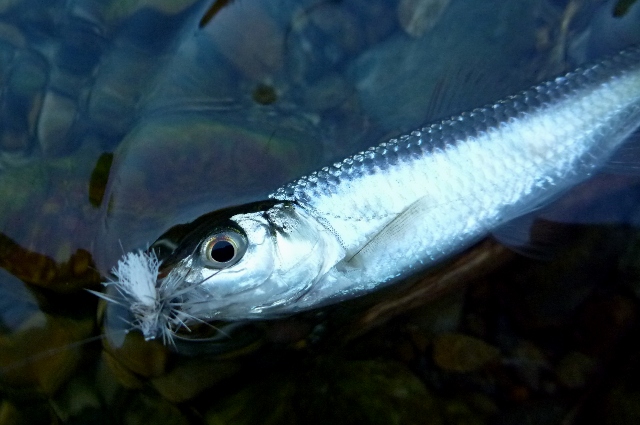 20121231_08.jpg