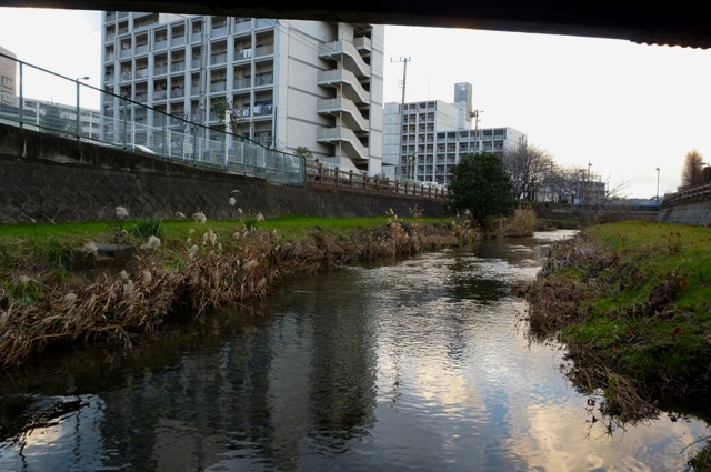 20121231_10.jpg