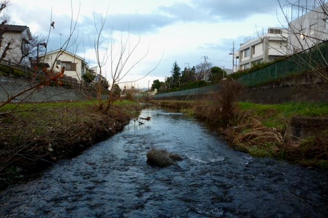20121231_11.jpg