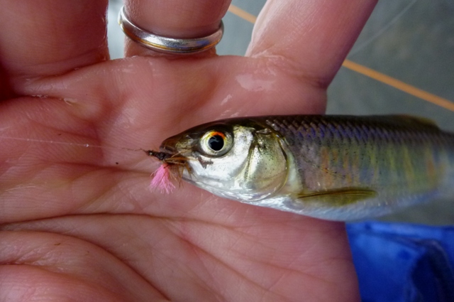2012_0421_01.jpg
