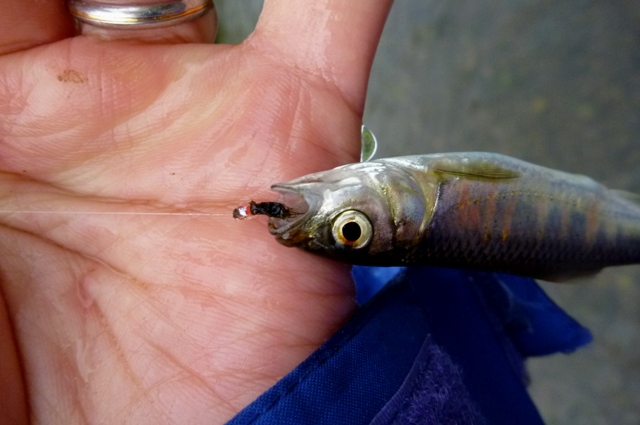 2012_0421_02.jpg