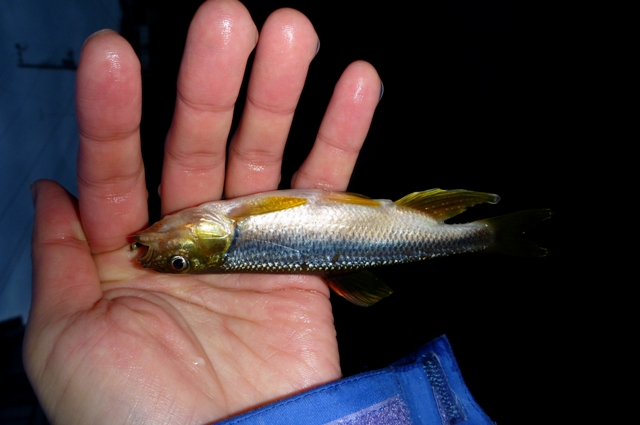 2012_0421_03.jpg