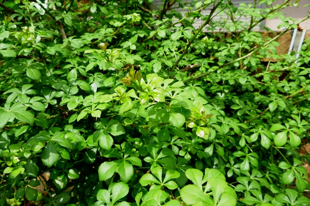 2012_0430_1.jpg