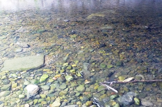 2012_0501_02.jpg