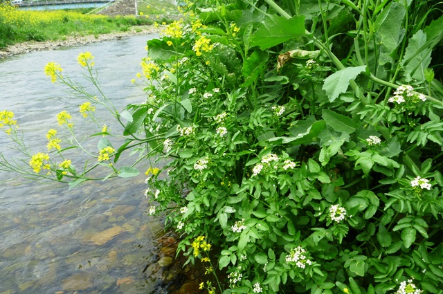 2012_0501_04.jpg