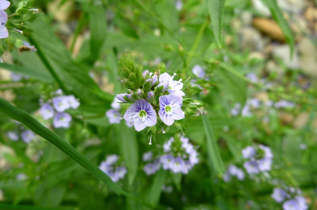2012_0501_06.jpg