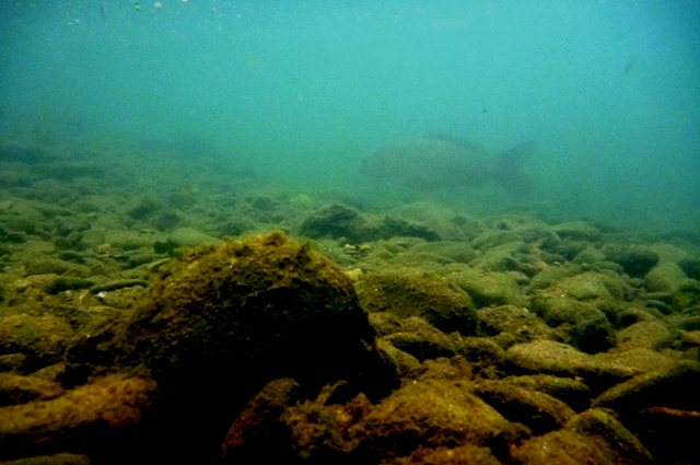 2012_0501_08.jpg