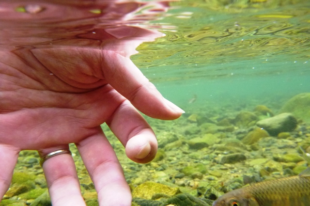 2012_0501_13.jpg
