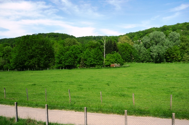 2012_0514_10.jpg
