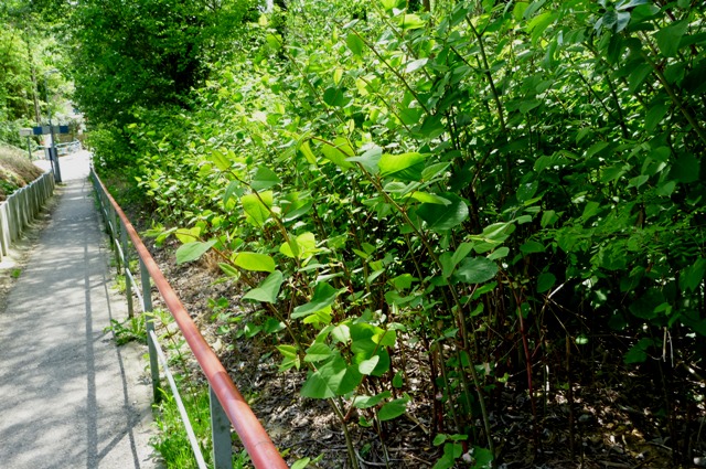 2012_0514_14.jpg
