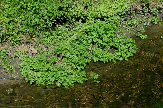 2012_0514_18.jpg