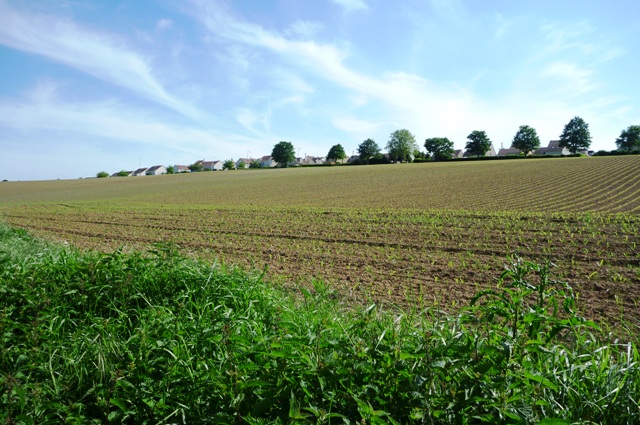 2012_0514_28.jpg