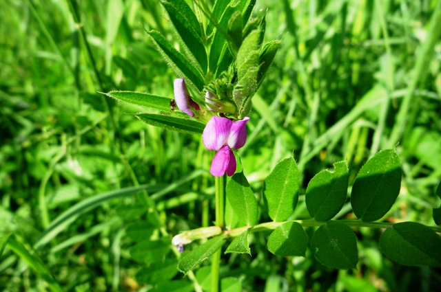 2012_0514_29.jpg