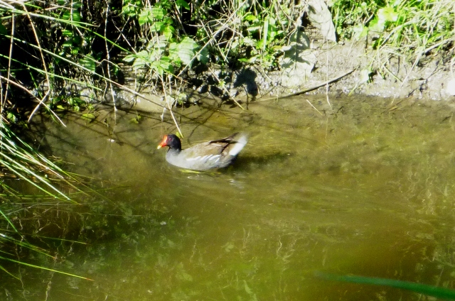 2012_0514_30.jpg