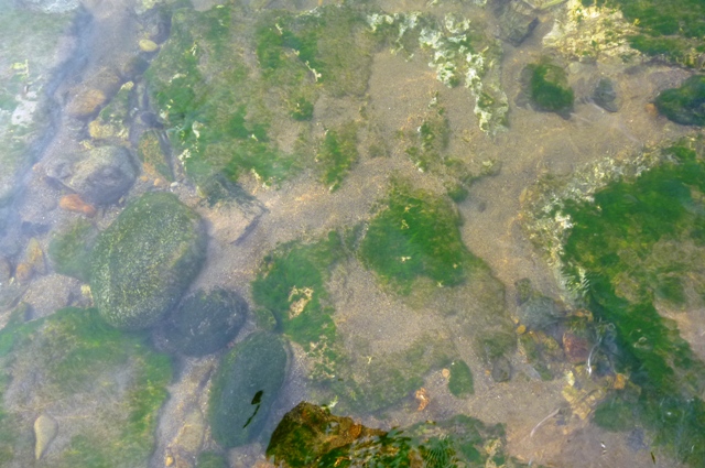 2012_0519_02.jpg