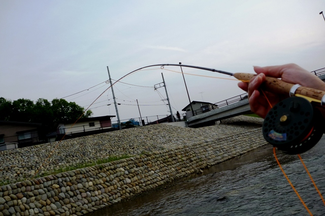 2012_0519_04.jpg