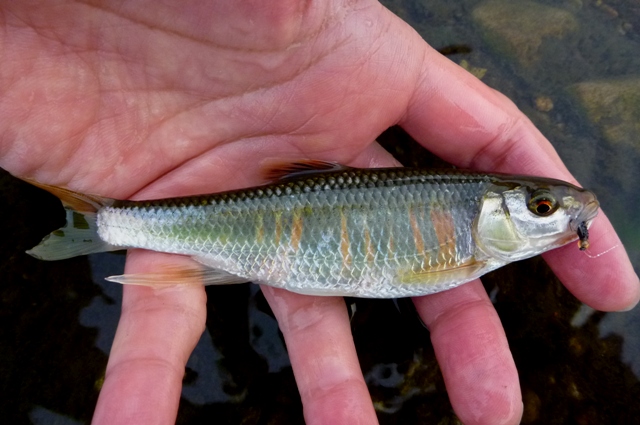 2012_0519_05.jpg