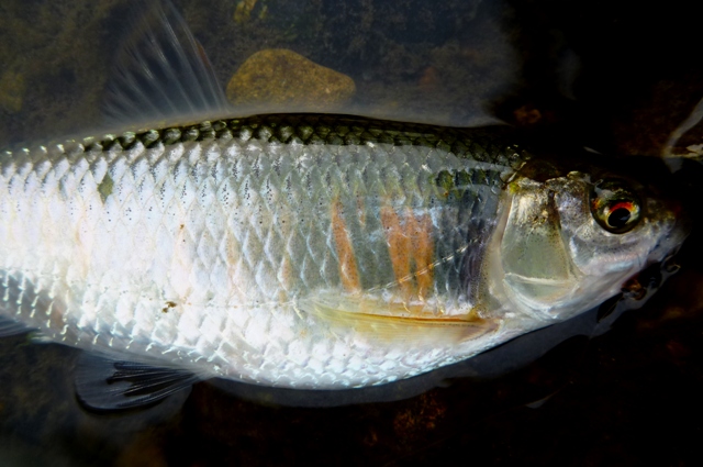 2012_0519_06.jpg