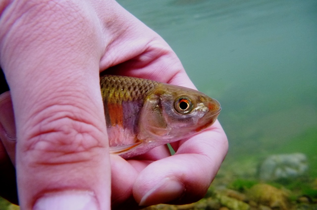 2012_0519_08.jpg