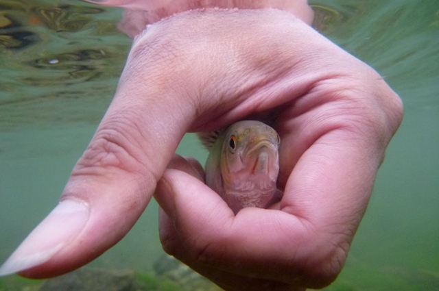 2012_0519_09.jpg