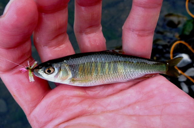 2012_0519_10.jpg