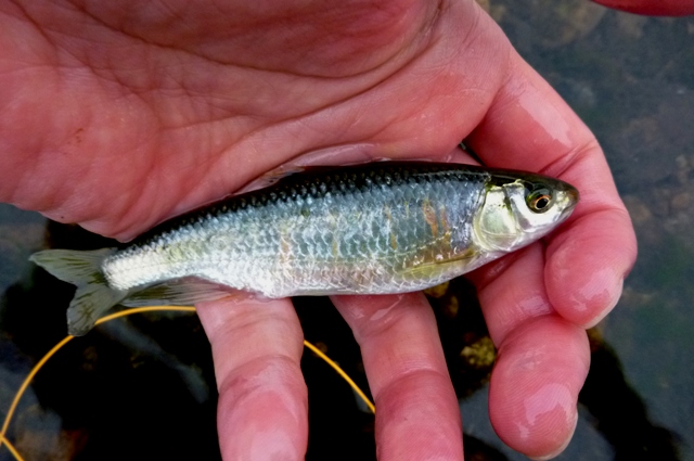 2012_0519_11.jpg