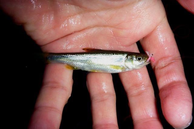 2012_0519_12.jpg