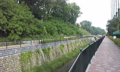 2012_0520_along_river.jpg