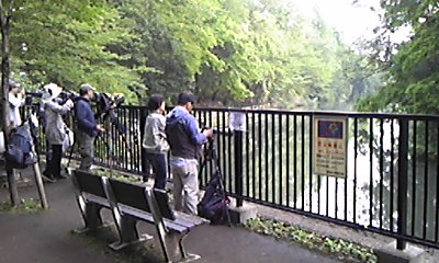 2012_0520_hitodakari.jpg