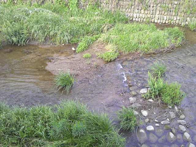 2012_0520_river_2.jpg