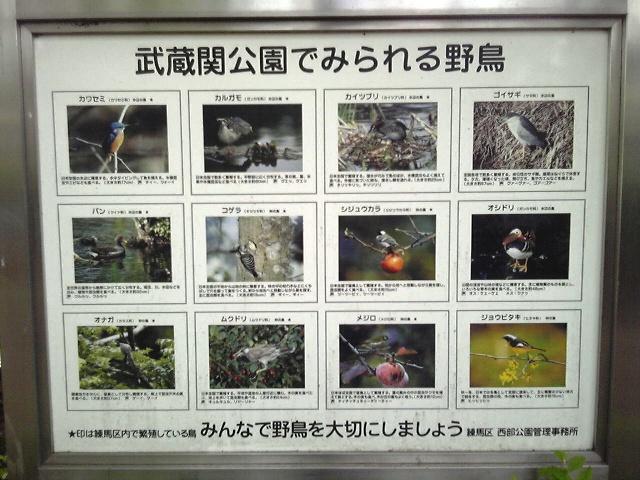 2012_0520_tori.jpg