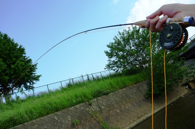 2012_0527_1.jpg