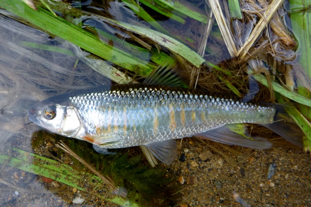 2012_0527_2.jpg