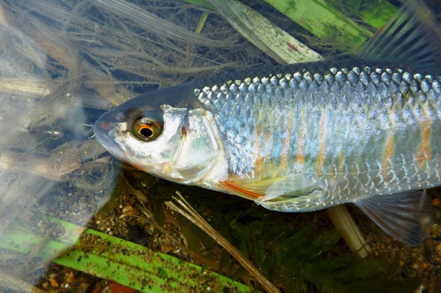 2012_0527_3.jpg