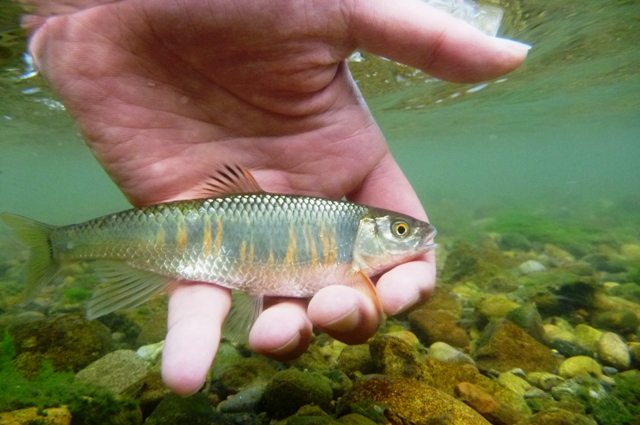 2012_0527_4.jpg